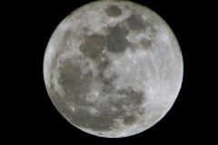 A full moon is easy to capture here ...