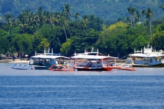 Here are different ferries operating ...