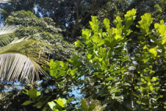 IMG_20250131_102639