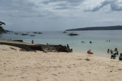 IMG_20250201_125654