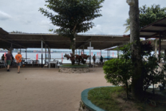 IMG_20250204_130506