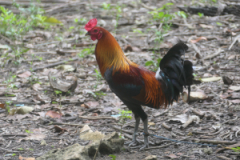 P1002430