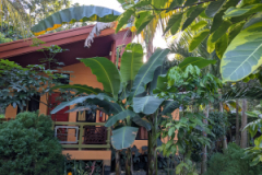 PXL_20250130_085714235