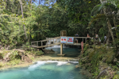 PXL_20250201_030558172