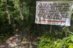 PXL_20250201_031242502.MP_