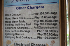 PXL_20250201_040559633