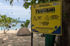 PXL_20250201_041107383