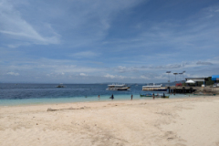 PXL_20250201_041335576