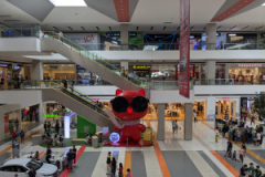 PXL_20250202_050138601