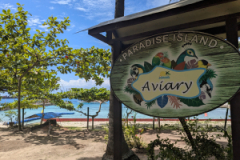 PXL_20250203_034608997