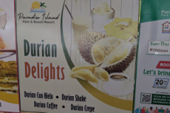 PXL_20250203_055936079