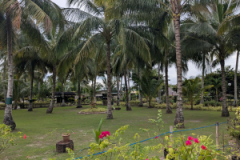 PXL_20250203_063055259