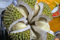 PXL_20250204_0947570252